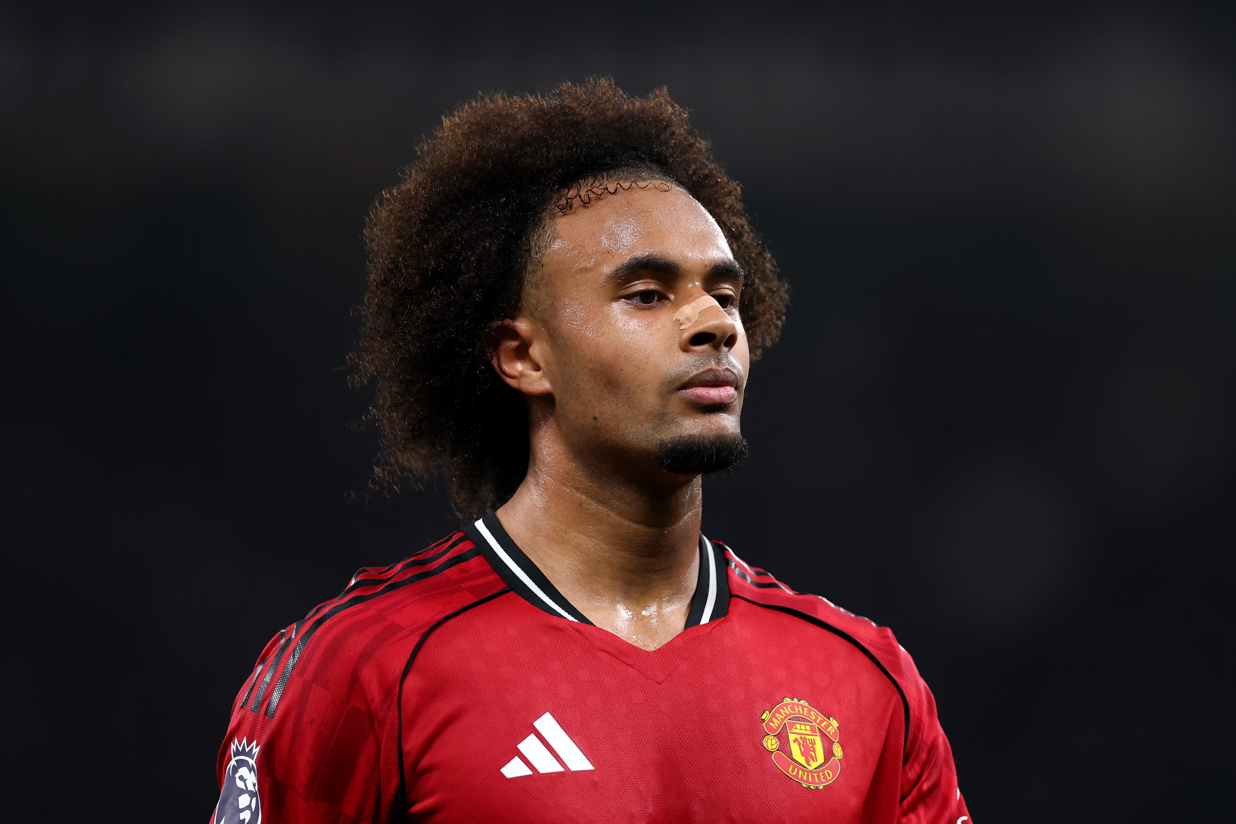Man Utd Outcast Joshua Zirkzee Offered to Roma and Juventus
