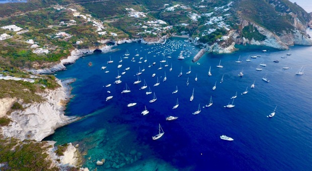 Ponza becomes international destination as celebrities flock to Italian island